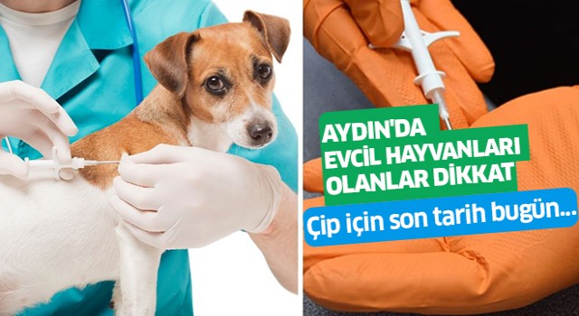 Aydın'da evcil hayvanları olanlar dikkat!