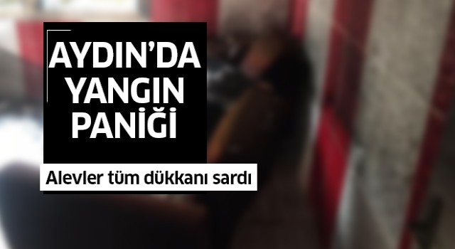 Aydın'da yangın paniği!