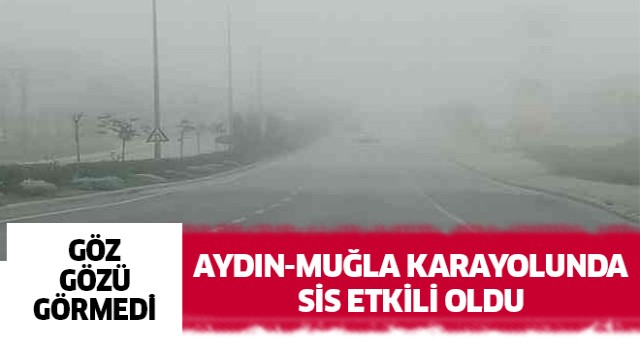 Aydın-Muğla karayolunda sis etkili oldu