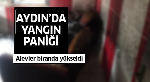 Aydın'da yangın paniği!