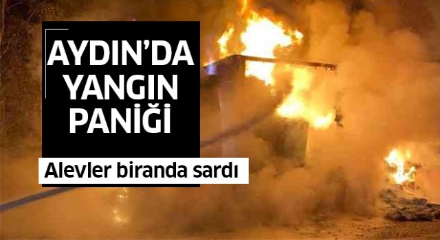 Aydın'da yangın paniği