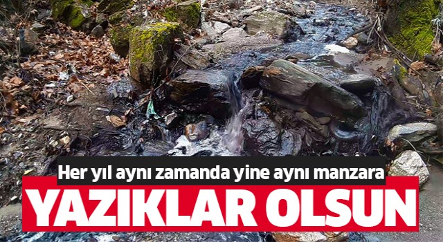 Aydın'ın derelerinden pis sular akıyor