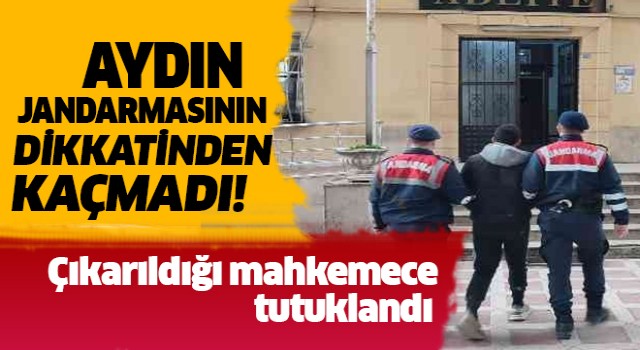 Jandarma Germencik'teki hırsızlığı aydınlattı