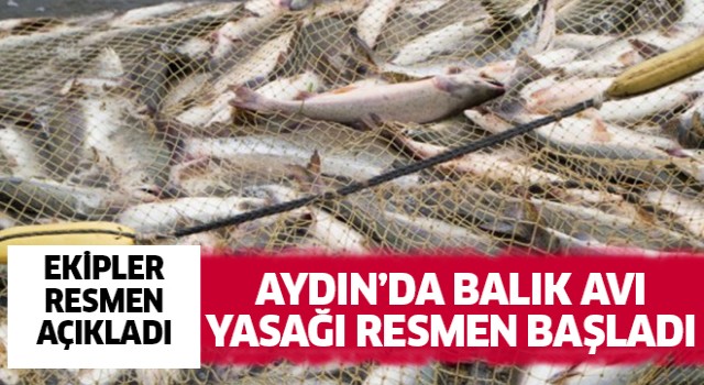 Aydın'da balık avı yasağı başladı