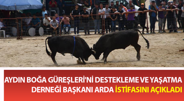 Aydın Boğa Güreşleri'ni Destekleme ve Yaşatma Derneği Başkanı istifasını açıkladı