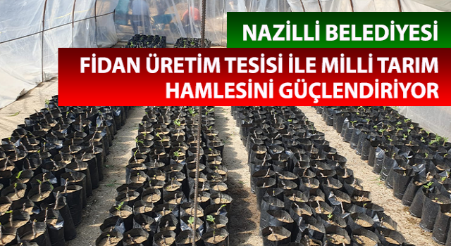 Nazilli Belediyesi fidan üretim tesisi ile milli tarım hamlesini güçlendiriyor