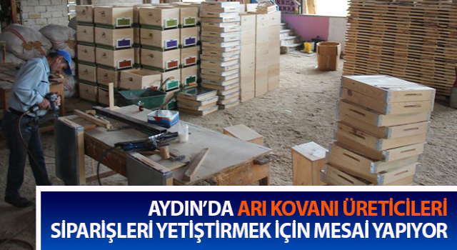 Yağışlar arıcıları, arıcılar da kovancıları coşturdu