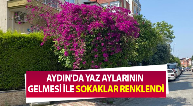 Yaz aylarının gelmesi ile sokaklar renklendi