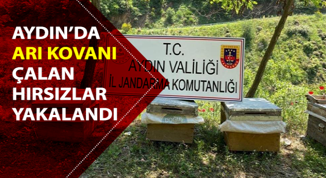 Arı kovanı hırsızları yakalandı