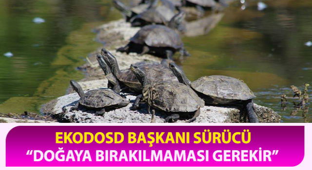 EKODOSD’tan “istilacı tür” uyarısı