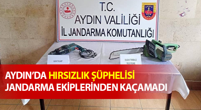 Hırsızlık şüphelisi jandarma ekiplerinden kaçamadı