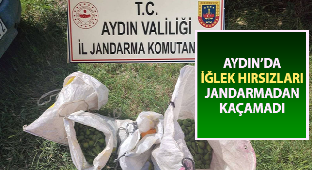 İğlek hırsızlarını jandarma yakaladı