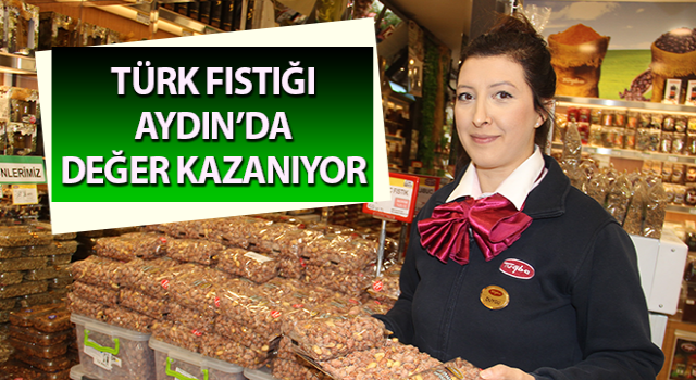 Türk fıstığı Aydın’da değer kazanıyor