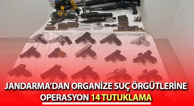 Aydın’da organize suç örgütlerine operasyon
