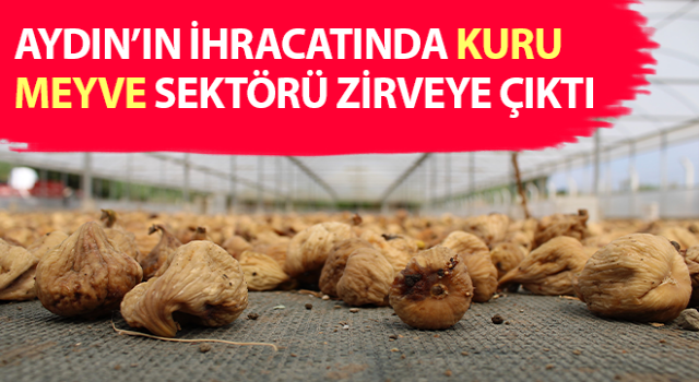 Aydın'daki kuru meyve sektörü zirveye ulaştı