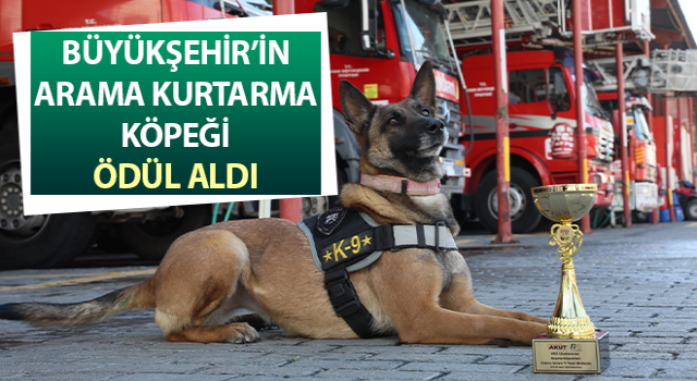 Büyükşehir’in arama kurtarma köpeği ödül aldı