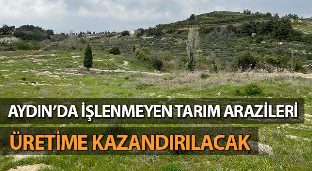 İşlenmeyen araziler üretime kazandırılacak