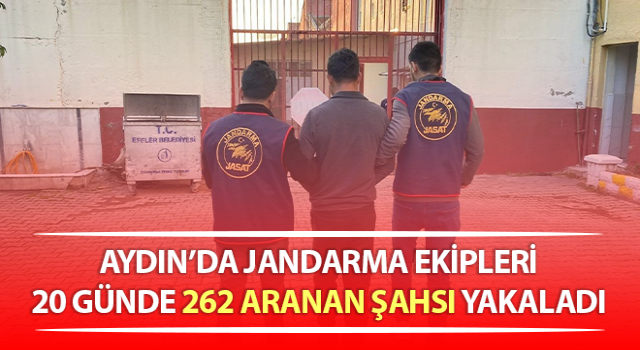 Jandarma 20 günde 262 aranan şahsı yakaladı