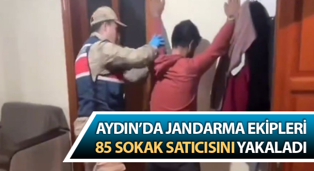 Jandarma 85 sokak satıcısını yakaladı