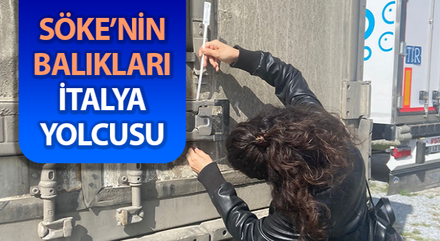 Söke’nin balıkları, İtalya yolcusu