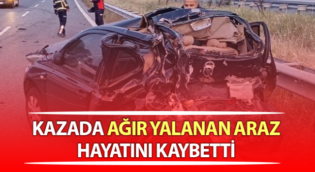 Aydın-İzmir Otoyolu'ndaki kazada ağır yalanan Araz hayatını kaybetti