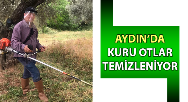 Aydın’da kuru otlar temizleniyor