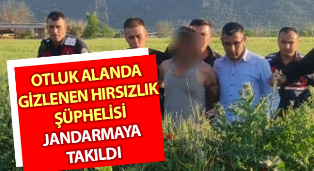 Çine’de hırsızlık şüphelisi kıskıvrak yakalandı