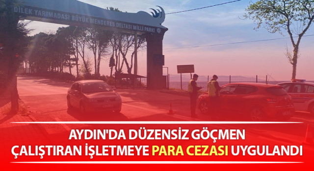 Düzensiz göçmen çalıştıran işletmeye 227 bin TL para cezası uygulandı