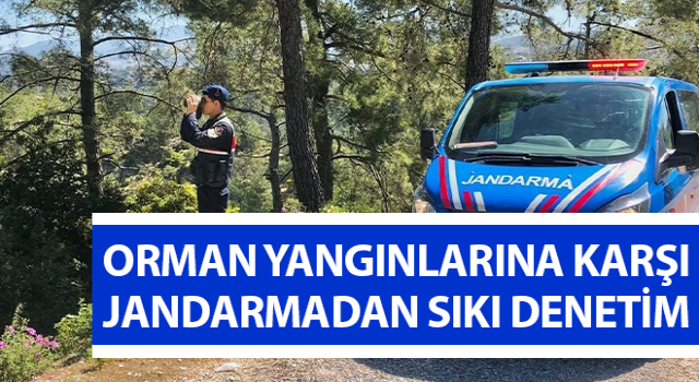 Orman yangınlarına karşı jandarmadan sıkı denetim