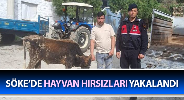 Söke’de hayvan hırsızları yakalandı