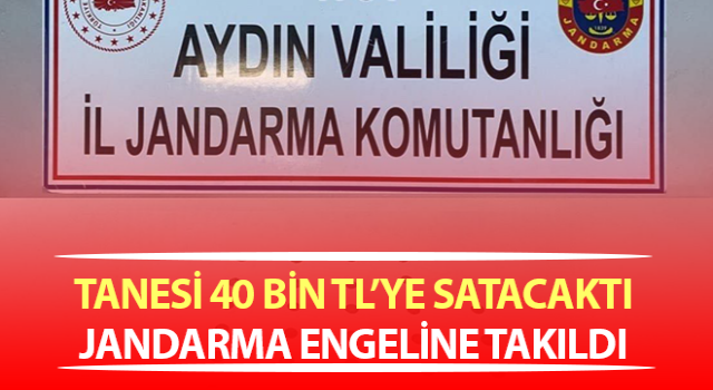 Tarihi eser yolculuğuna jandarma ‘Dur’ dedi