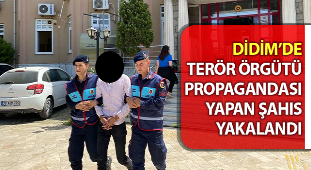 Terör örgütü propagandası yapan şahıs yakalandı