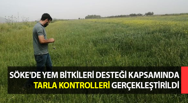 Yem bitkileri desteği kapsamında tarla kontrolleri yapıldı