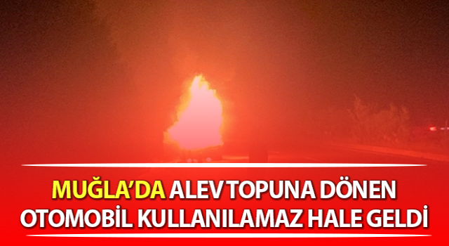 Alev topuna dönen otomobil kullanılamaz hale geldi