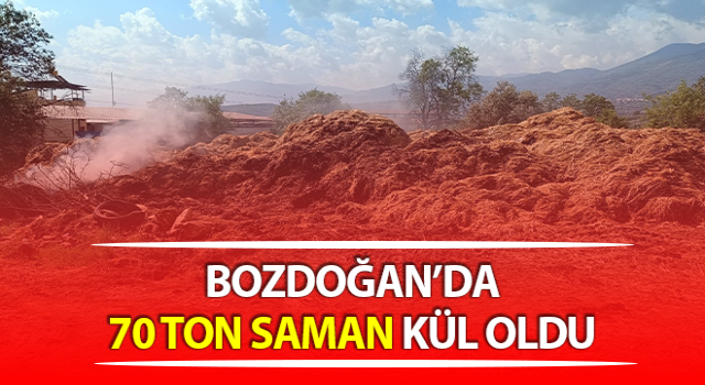 Aydın’da 70 ton saman kül oldu