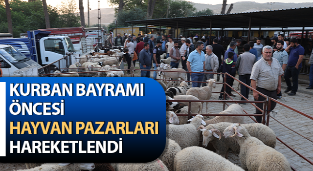 Aydın'da kurbanlıklar pazara indi