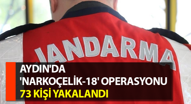 Aydın'da 'Narkoçelik-18' operasyonu