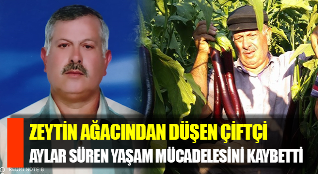 Aydın’da zeytin ağacından düşen çiftçi hayatını kaybetti