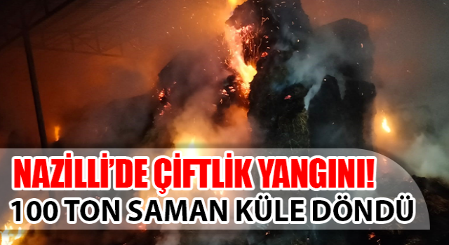 Çiftlikte çıkan yangında yaklaşık 100 ton saman küle döndü