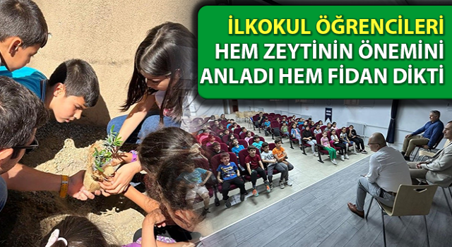 Çine’de zeytinin önemine dikkat çekildi