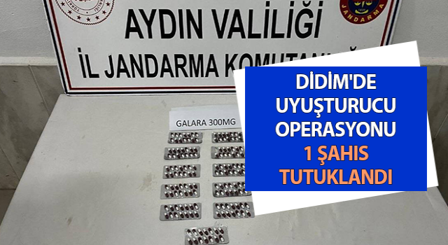 Didim'de uyuşturucu operasyonu: 1 şahıs tutuklandı