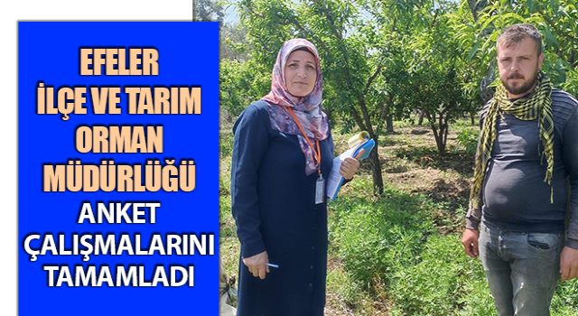 Efeler İlçe ve Tarım Orman Müdürlüğü anket çalışmalarını tamamladı