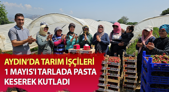 İşçi bayramını meydanda değil, tarlada kutladılar