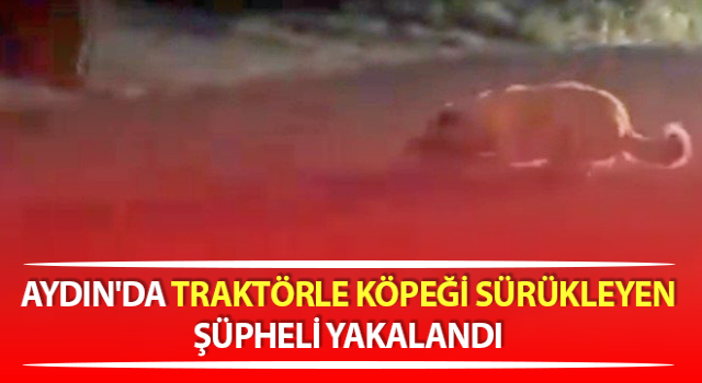 Köpeği traktörle sürükleyen şüpheli yakalandı