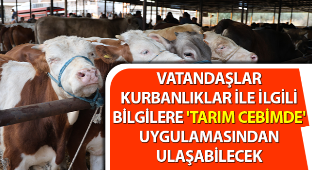 Kurbanlıklar ile ilgili bilgilere 'Tarım Cebimde' uygulamasından ulaşılabilecek