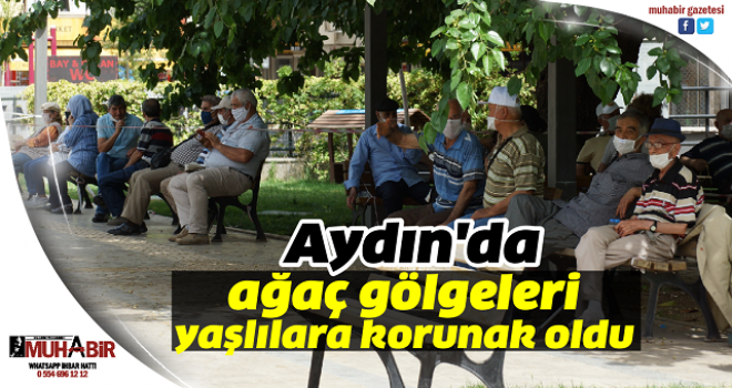 Aydın'da ağaç gölgeleri yaşlılara korunak oldu