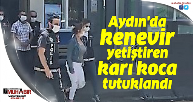 Aydın'da kenevir yetiştiren karı koca tutuklandı