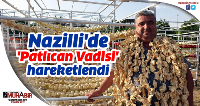 Nazilli'de 'Patlıcan Vadisi' hareketlendi