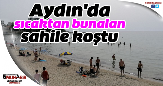 Aydın'da sıcaktan bunalan sahile koştu  