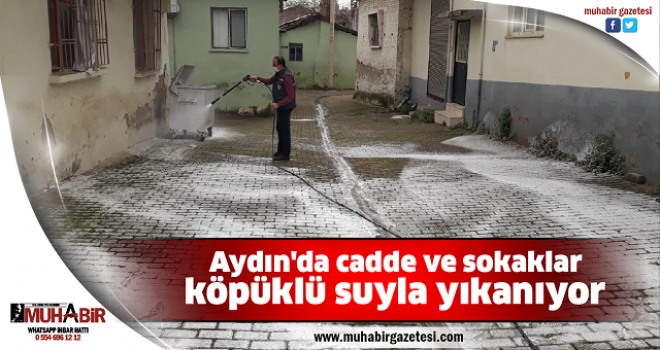 Aydın'da cadde ve sokaklar köpüklü suyla yıkanıyor
